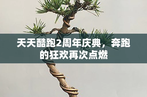 天天酷跑2周年庆典图片