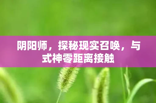 与式神零距离接触图片