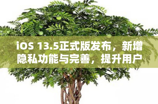 新增隐私功能与完善图片