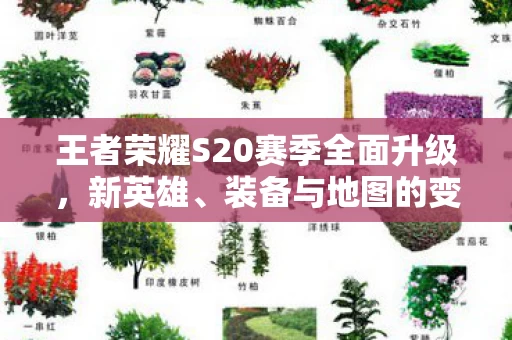 王者荣耀S20赛季全面升级图片
