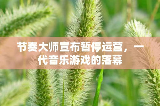 节奏大师宣布暂停运营图片