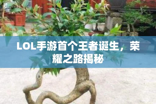 LOL手游首个王者诞生图片