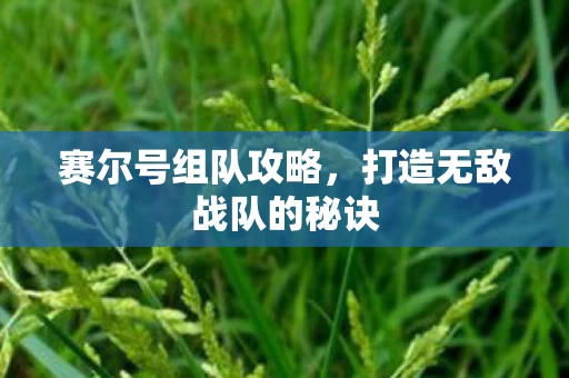 打造无敌战队的秘诀图片