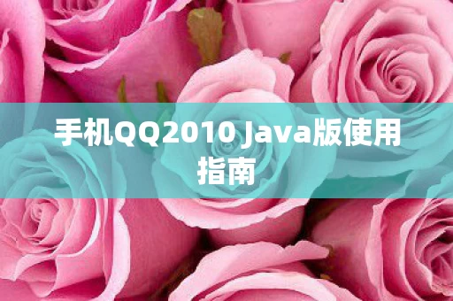 手机QQ2010 Java版使用指南图片