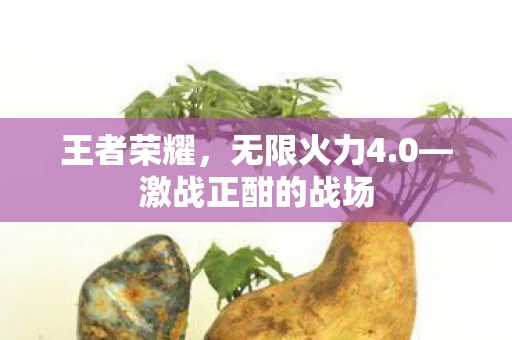 激战正酣的战场图片
