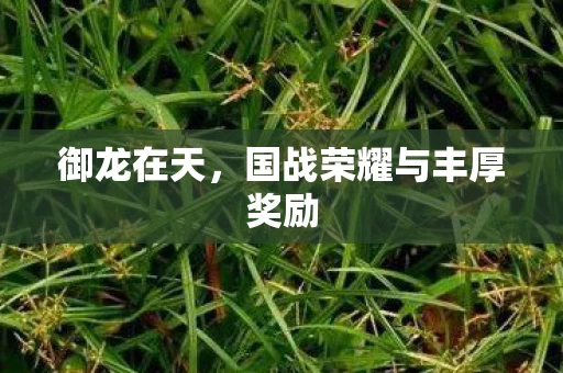 国战荣耀与丰厚奖励图片