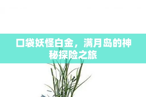 满月岛的神秘探险之旅图片