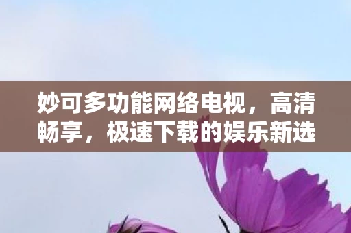 极速下载的娱乐新选择图片