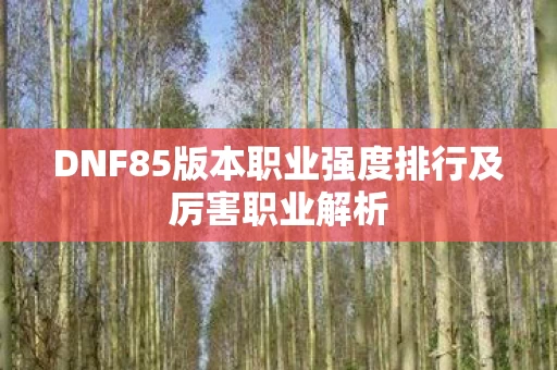 DNF85版本职业强度排行及厉害职业解析图片
