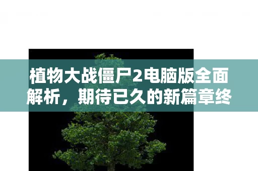 植物大战僵尸2电脑版全面解析图片