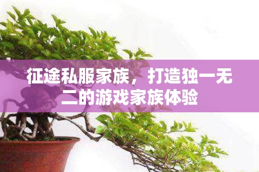 打造独一无二的游戏家族体验图片
