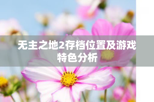 无主之地2存档位置及游戏特色分析图片