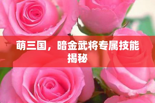 暗金武将专属技能揭秘图片