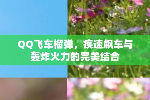 疾速飙车与轰炸火力的完美结合图片