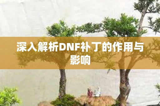 深入解析DNF补丁的作用与影响图片