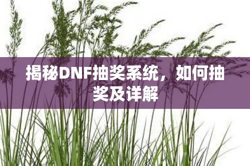 揭秘DNF抽奖系统图片