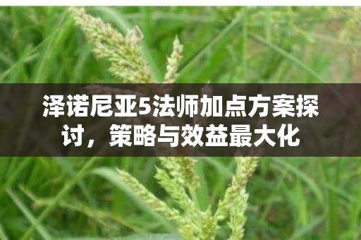 泽诺尼亚5法师加点方案探讨图片