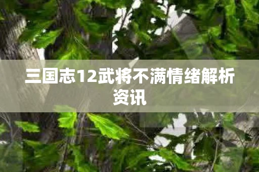三国志12武将不满情绪解析资讯图片