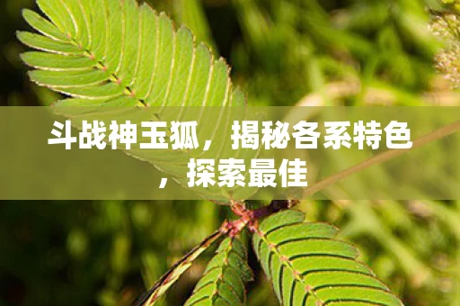 揭秘各系特色图片