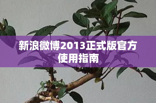 新浪微博2013正式版官方使用指南图片