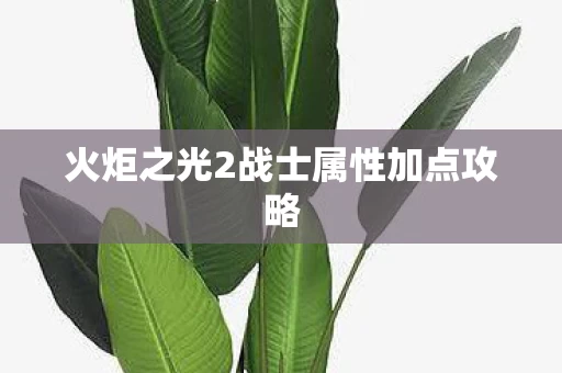 火炬之光2战士属性加点攻略图片