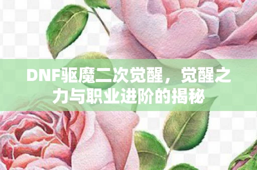 觉醒之力与职业进阶的揭秘图片