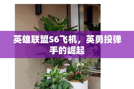 英雄联盟S6飞机图片