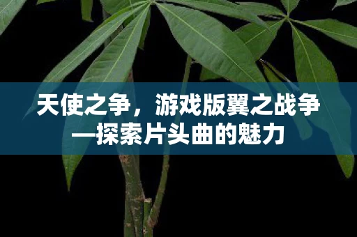 探索片头曲的魅力图片