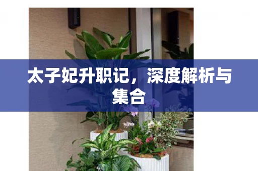 深度解析与集合图片