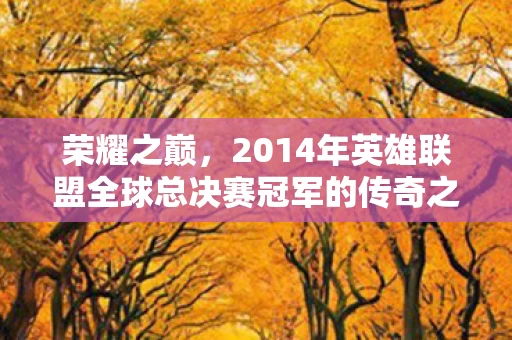2014年英雄联盟全球总决赛冠军的传奇之旅图片