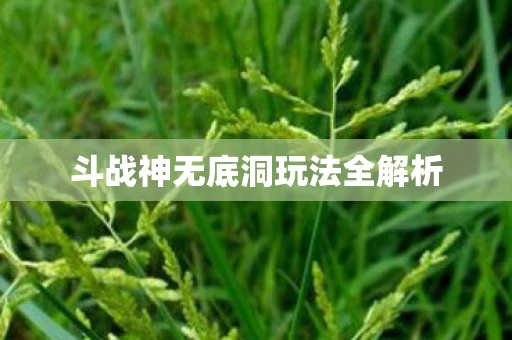 斗战神无底洞玩法全解析图片