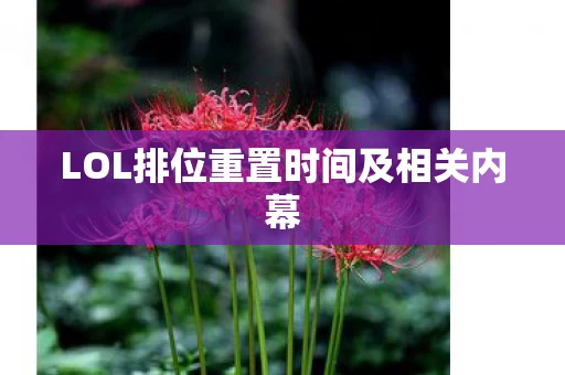 LOL排位重置时间及相关内幕图片