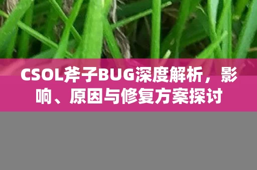 CSOL斧子BUG深度解析图片