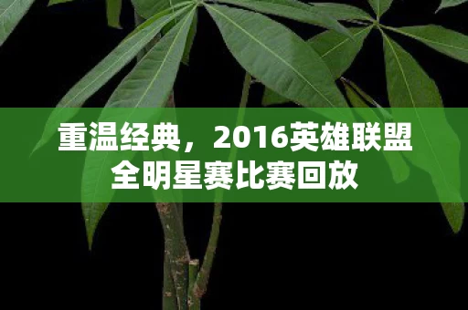 2016英雄联盟全明星赛比赛回放图片