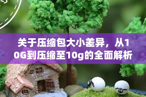 从10G到压缩至10g的全面解析与使用指南图片
