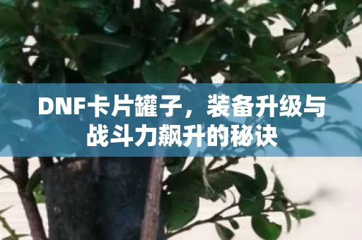 装备升级与战斗力飙升的秘诀图片