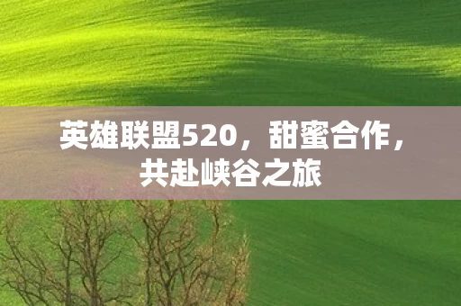 英雄联盟520图片