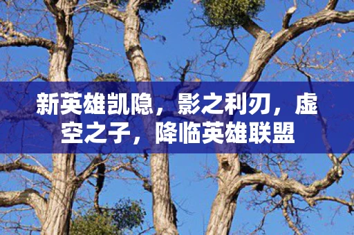 降临英雄联盟图片