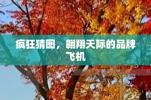 翱翔天际的品牌飞机图片