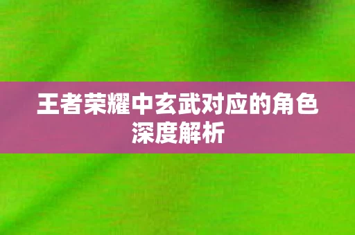 王者荣耀中玄武对应的角色深度解析图片