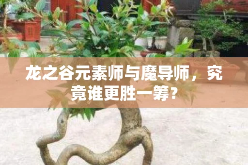 龙之谷元素师与魔导师图片