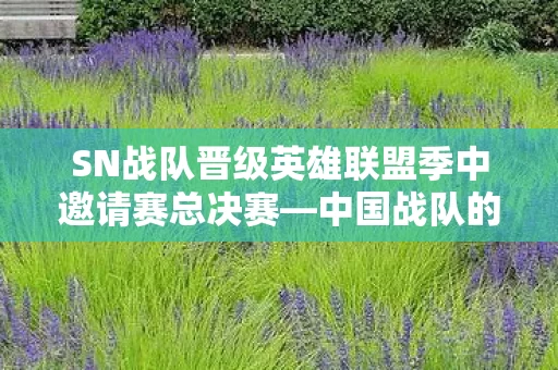SN战队晋级英雄联盟季中邀请赛总决赛图片