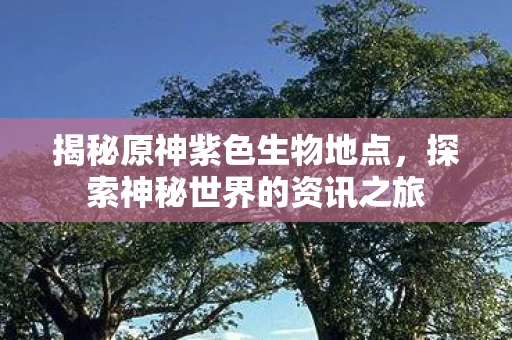 探索神秘世界的资讯之旅图片