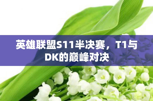 英雄联盟S11半决赛图片