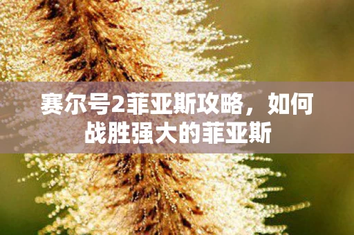 如何战胜强大的菲亚斯图片