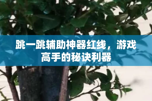 跳一跳辅助神器红线图片