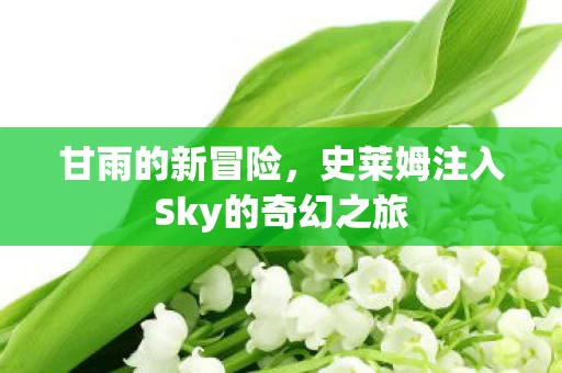 史莱姆注入Sky的奇幻之旅图片