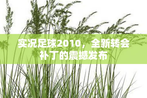 全新转会补丁的震撼发布图片