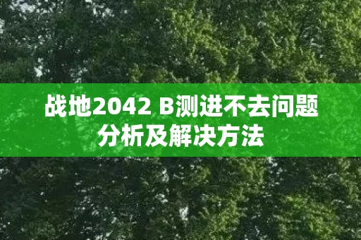 战地2042 B测进不去问题分析及解决方法图片