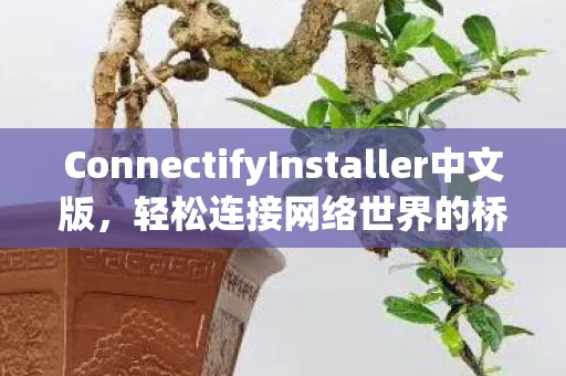 ConnectifyInstaller中文版图片